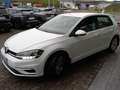 Volkswagen Golf Golf 5p 1.6 tdi Business 115cv Bianco - thumbnail 3