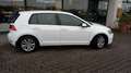 Volkswagen Golf Golf 5p 1.6 tdi Business 115cv Bianco - thumbnail 6