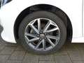 Toyota Yaris 1.5 Hybrid Business Edition Navi Sitzhzg. Weiß - thumbnail 15