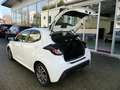 Toyota Yaris 1.5 Hybrid Business Edition Navi Sitzhzg. Weiß - thumbnail 21