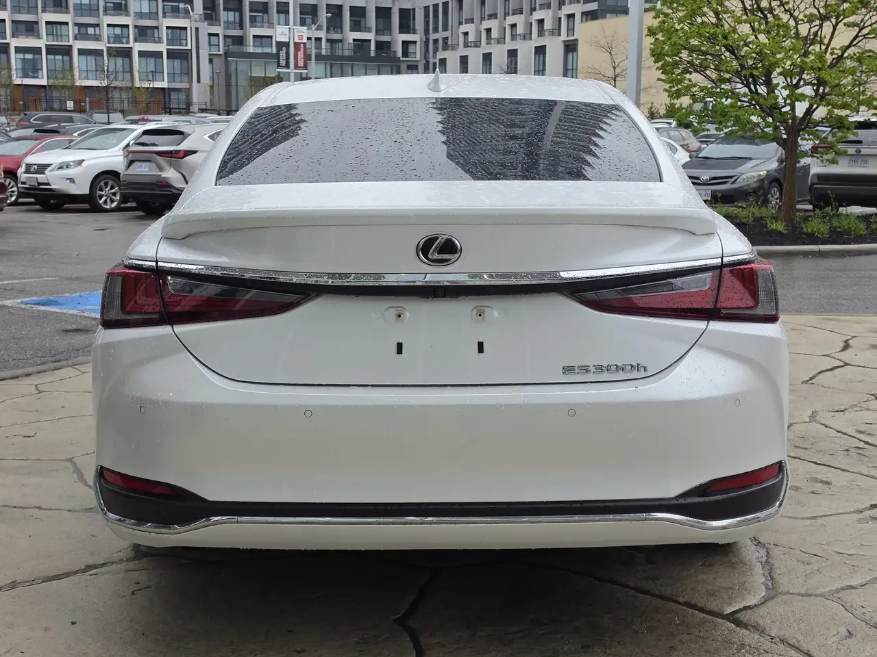 Lexus ES photo Lexus ES