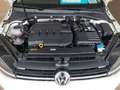 Volkswagen Golf Variant Comfortline 1.6 TDI NAVI+SITZHZ+ACC Klima Navi Weiß - thumbnail 11