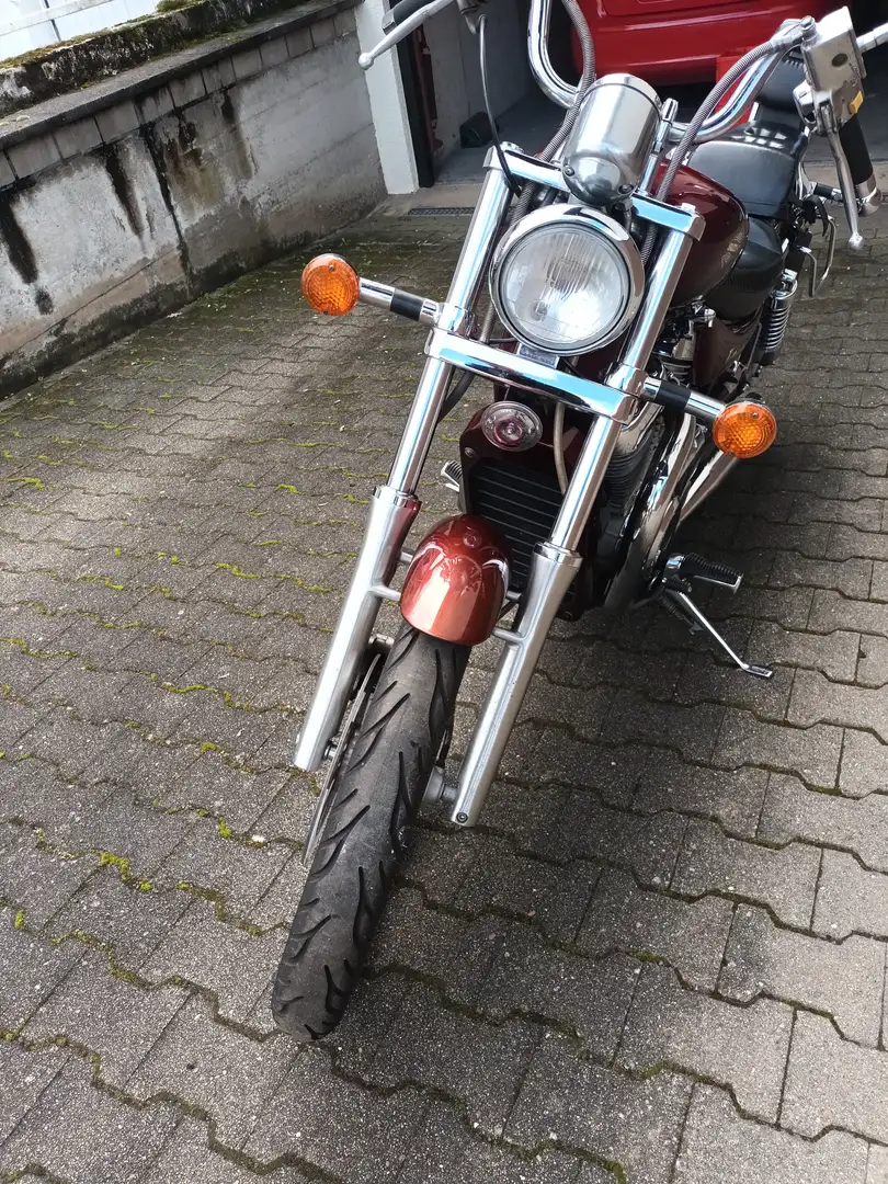 Suzuki VS 800 Sisybar Rot - 1