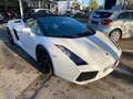 Lamborghini Gallardo 520 Spyder Wit - thumbnail 2