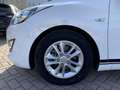 Hyundai i30 cw Trend PDC+Sitzhzg+Lenkrhzg+Klima White - thumbnail 21