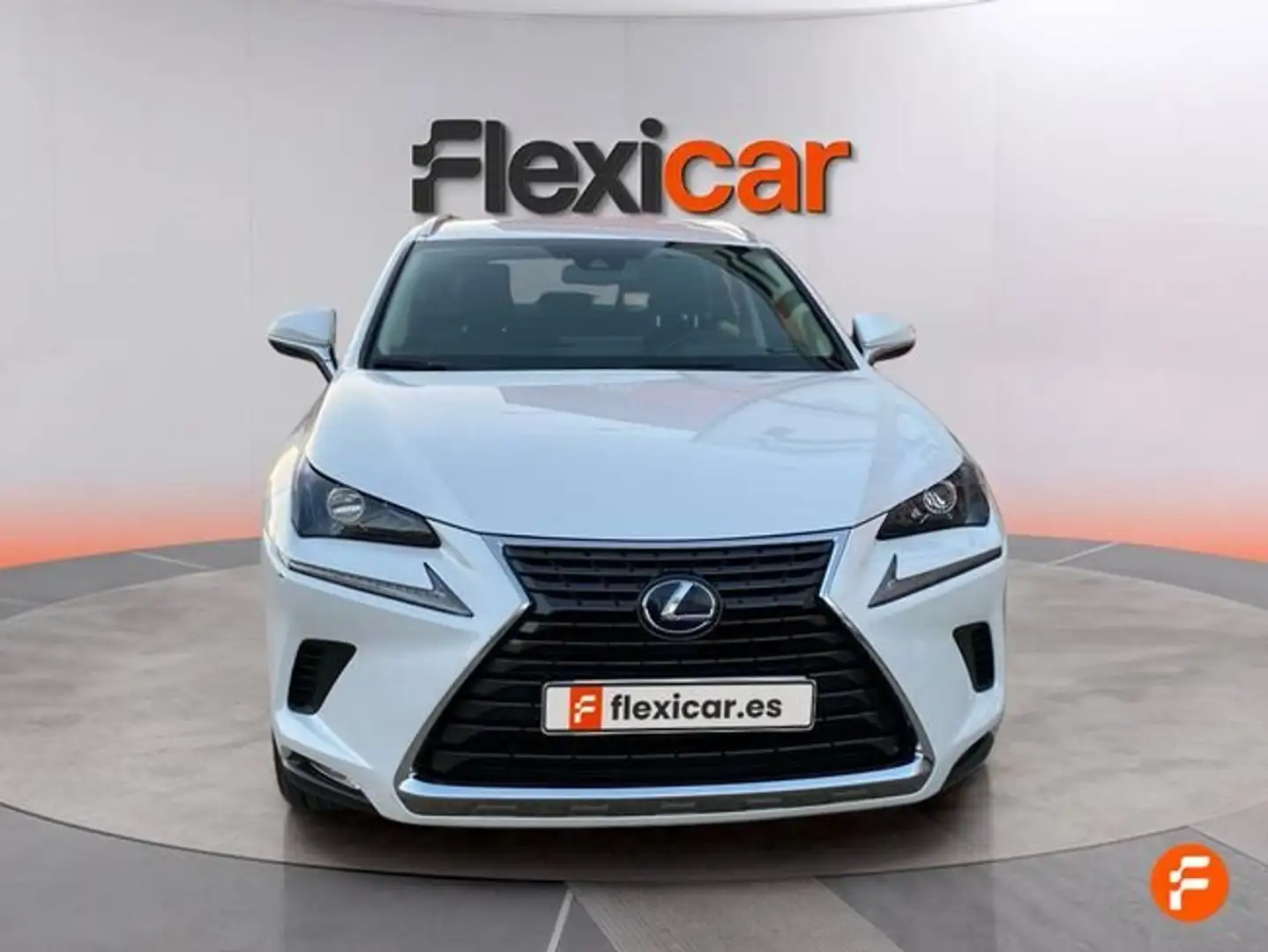 Lexus NX 300 300h Business 2WD Blanco - 2
