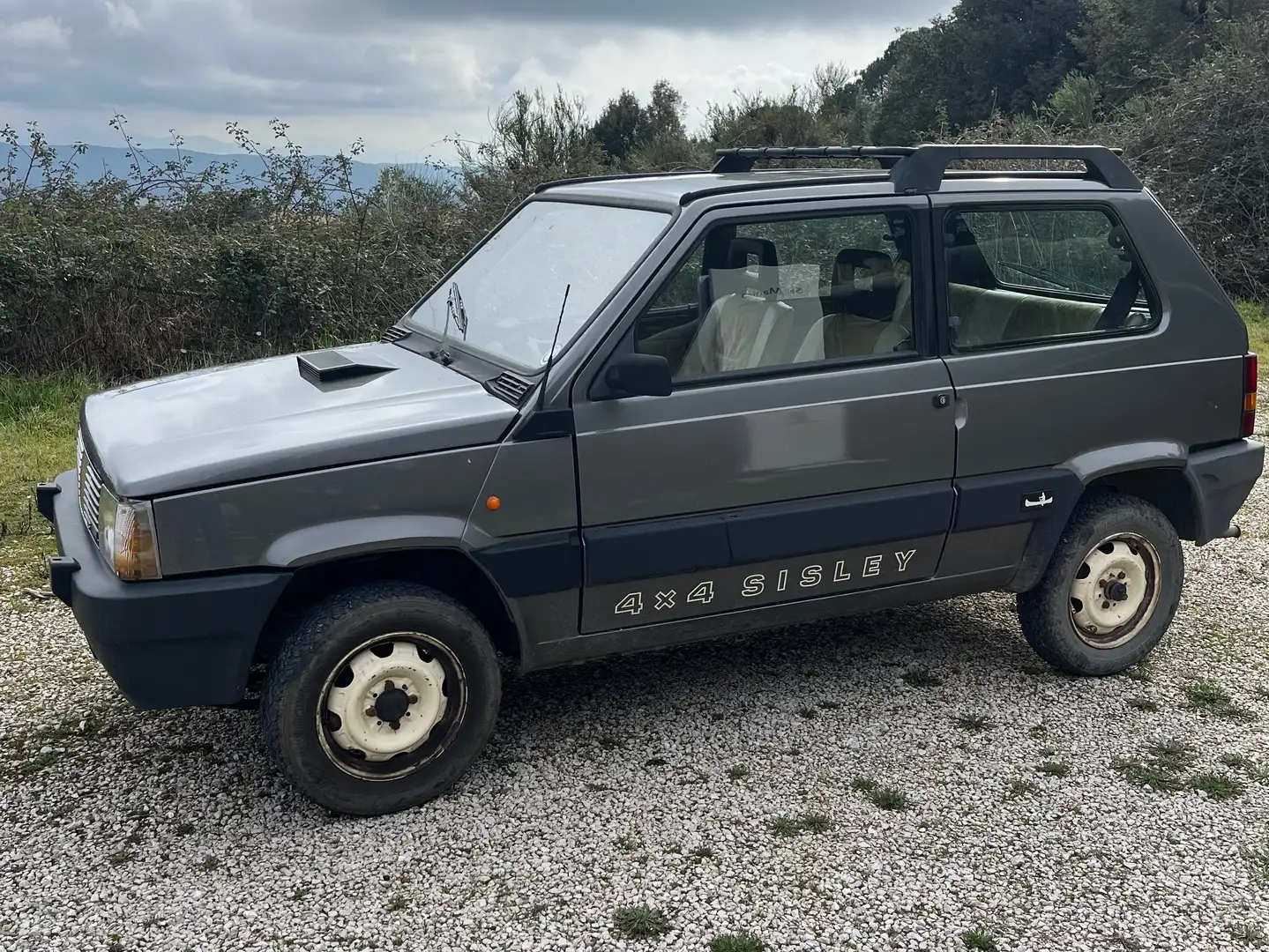 Fiat Panda Panda 1.0 Sisley 4x4 Gris - 1