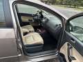 Volkswagen Golf Plus Trendline 1,6 TDI DPF DSG - thumbnail 8