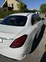 Mercedes-Benz C 200 C 200 4M AMG Line/9G/Multibeam/360Grad/Schiebedach Weiß - thumbnail 5