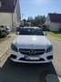 Mercedes-Benz C 200 C 200 4M AMG Line/9G/Multibeam/360Grad/Schiebedach Weiß - thumbnail 2