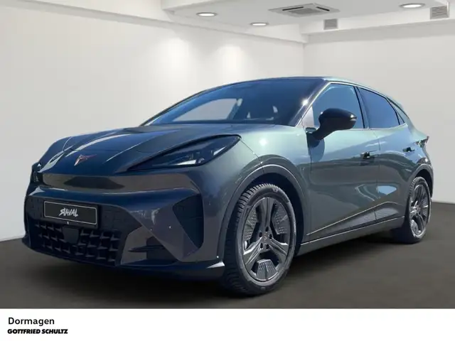 CUPRA Autres Endurance 52 kWh NAVI EDGEPAKET ALLWETTERREIFEN