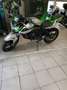 Kawasaki Grün - thumbnail 1
