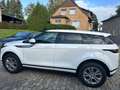 Land Rover Range Rover Evoque P300e  Hybrid *Navi*Leder*LED Weiß - thumbnail 4