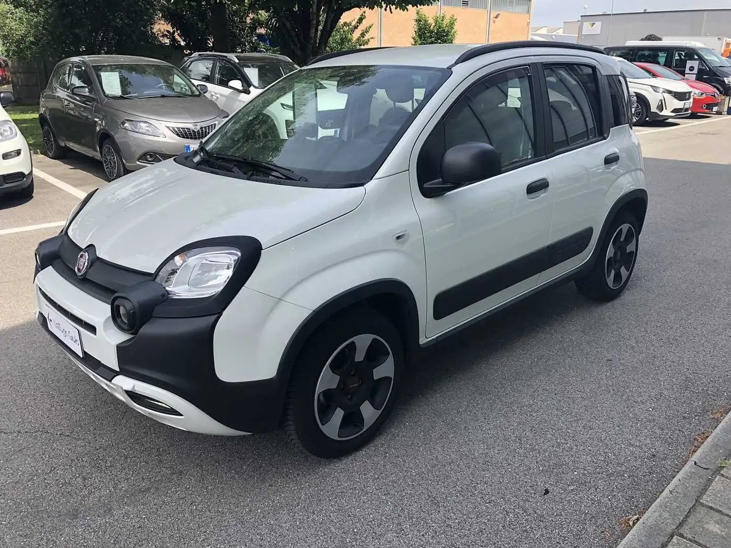 Fiat Panda 3ª serie 1.0 FireFly S&S Hybrid City Cross Wit - 1