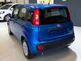 Fiat Panda Panda III 2024 1.0 firefly hybrid s Blu/Azzurro - thumbnail 8