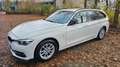 BMW 320 320d xDrive SportLine 8-fach+PDC+AHK+Panorama Weiß - thumbnail 8