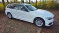 BMW 320 320d xDrive SportLine 8-fach+PDC+AHK+Panorama Weiß - thumbnail 2