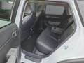 Kia Hatchback Earth 81kWh  Bidirektionales Laden 360 G Weiß - thumbnail 9