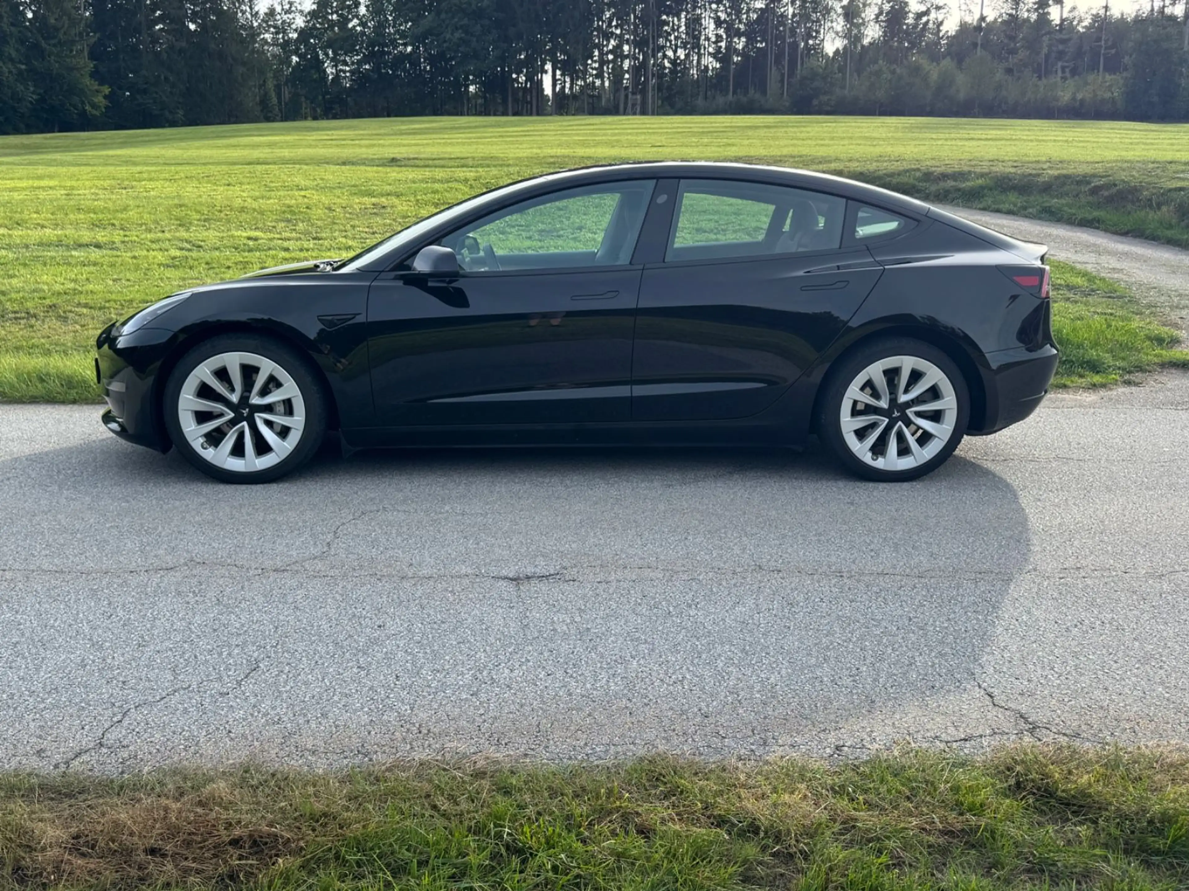 Tesla Model 3 Long Range Dual AWD RYZEN ALLRAD 19"MWST — photo 2
