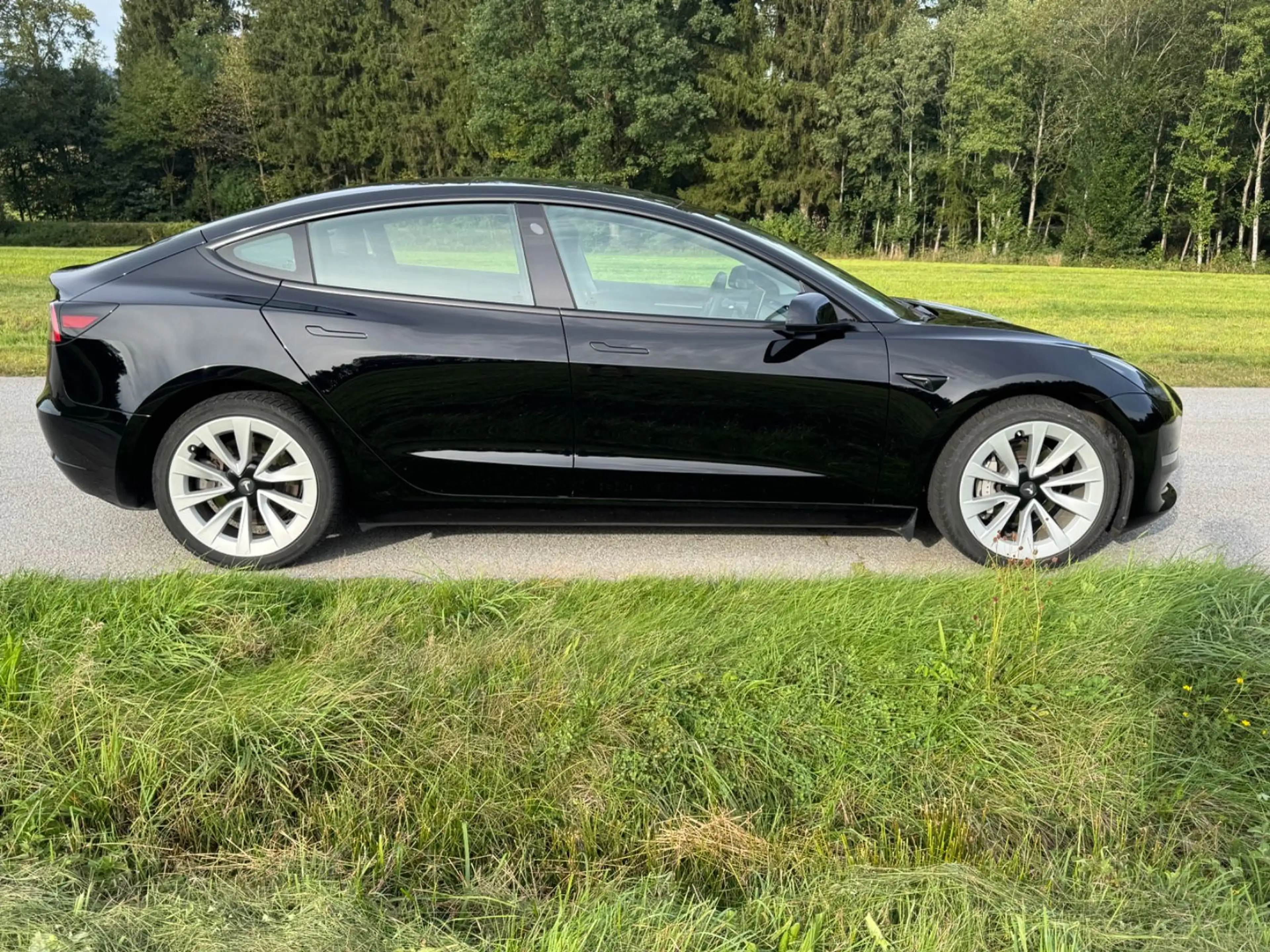 Tesla Model 3 Long Range Dual AWD RYZEN ALLRAD 19"MWST — photo 6