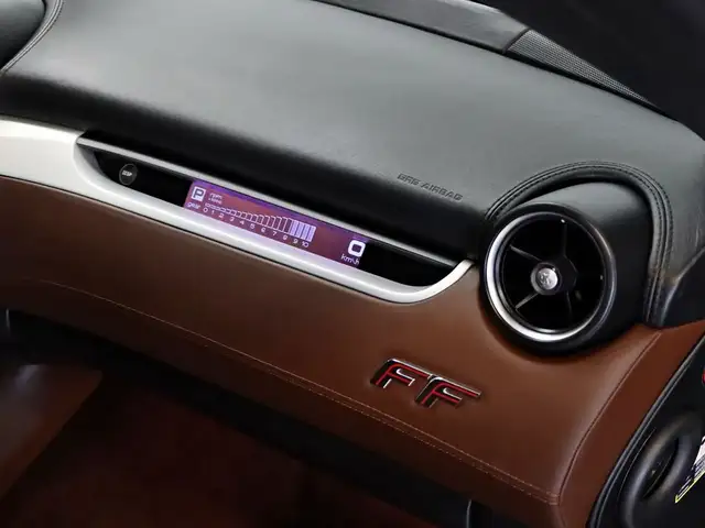 Ferrari FF view 11