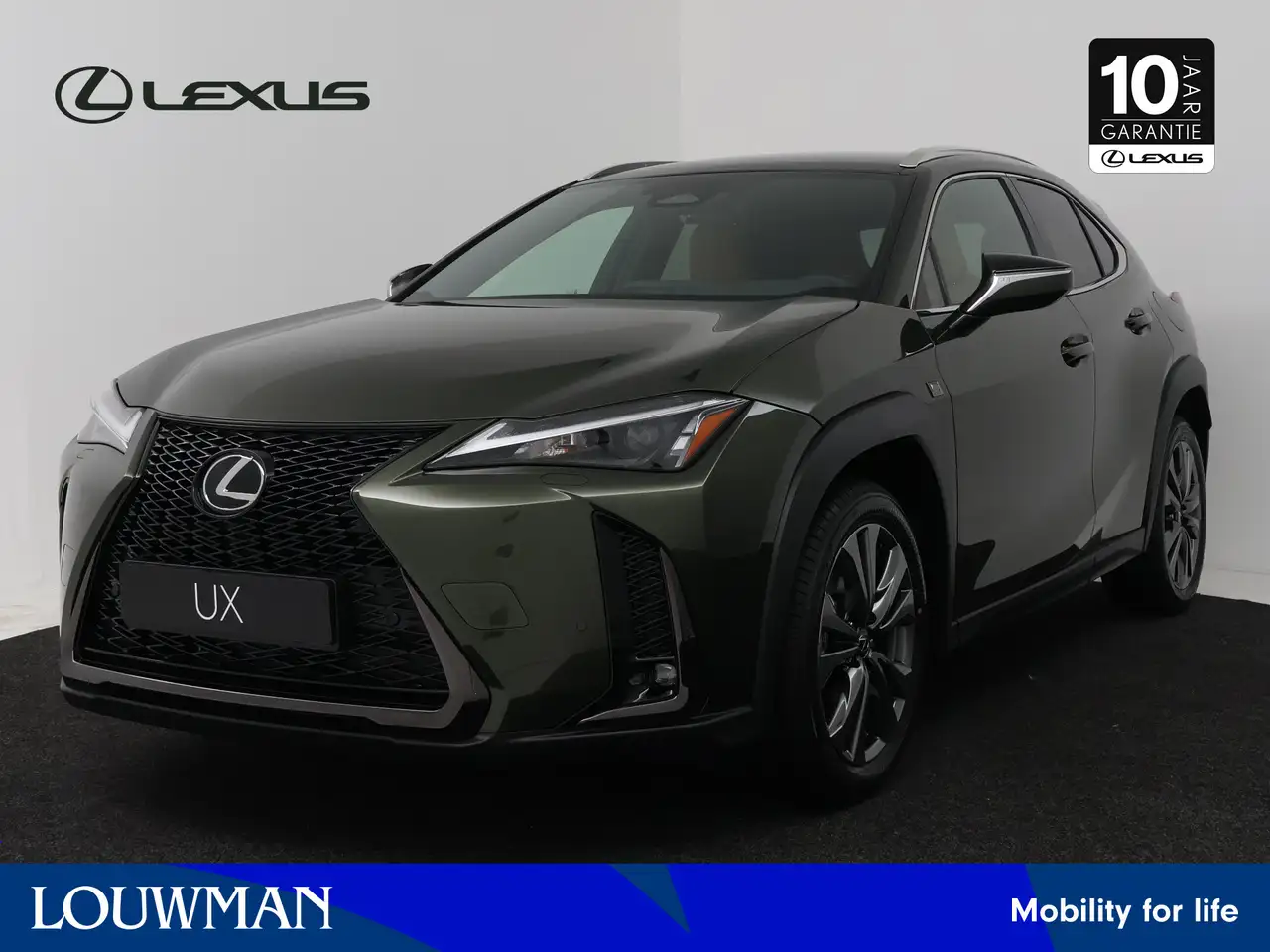 Lexus UX 300h