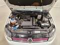 Volkswagen Polo 1.2 TSI Fresh Bianco - thumbnail 14
