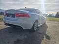 Jaguar XE 20d Aut. R-Sport - thumbnail 5
