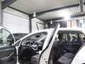 Volkswagen Golf VIII 2.0 TDI DSG ACTIVE IQ / MATRIX-LED Blanc - thumbnail 14