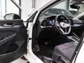 Volkswagen Golf VIII 2.0 TDI DSG ACTIVE IQ / MATRIX-LED Blanc - thumbnail 15