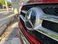 Mercedes-Benz V 300d Marco Polo Activity Rojo - thumbnail 11