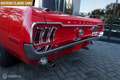 Ford Mustang CONVERTIBLE Rood - thumbnail 6