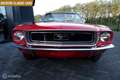 Ford Mustang CONVERTIBLE Rood - thumbnail 11