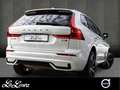 Volvo XC60 B5 (B) Ultra Dark #Luftfahrwerk/360/Bowers&Wilk... Weiß - thumbnail 2