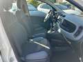 Fiat Panda 1.0 FireFly S&S Hybrid Easy PROMO CON FINAZIAMENTO Bianco - thumbnail 9