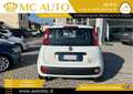 Fiat Panda 1.0 FireFly S&S Hybrid Easy PROMO CON FINAZIAMENTO Bianco - thumbnail 5