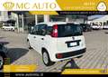 Fiat Panda 1.0 FireFly S&S Hybrid Easy PROMO CON FINAZIAMENTO Bianco - thumbnail 4