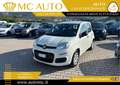 Fiat Panda 1.0 FireFly S&S Hybrid Easy PROMO CON FINAZIAMENTO Bianco - thumbnail 3