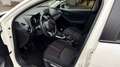 Mazda 2 1.5 SKYACTIV G 90CV LUXURY 5P Blanc - thumbnail 11