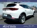 CUPRA Formentor 1.5 mit ACC/LED/FullLink/Keyless Weiß - thumbnail 2