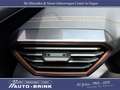CUPRA Formentor 1.5 mit ACC/LED/FullLink/Keyless Weiß - thumbnail 20