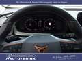 CUPRA Formentor 1.5 mit ACC/LED/FullLink/Keyless Weiß - thumbnail 11