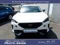CUPRA Formentor 1.5 mit ACC/LED/FullLink/Keyless Weiß - thumbnail 6