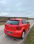 Volkswagen Polo 1.6 TDI Sportline Rouge - thumbnail 5