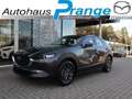 Mazda CX-30 2025 M-Hybrid Prime-Line G-140 *Sofort* NAVI ACAA Gris - thumbnail 1
