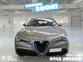 Alfa Romeo Stelvio 2.2 Turbodiesel 160 CV AT8 RWD Business Grigio - thumbnail 1