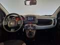 Fiat Panda HYBRID CITYLIFE MY22 - thumbnail 7