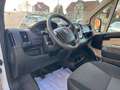 Fiat Ducato Maxi Pritsche Doppelk. 35 150 L5 P Weiß - thumbnail 13