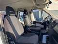 Fiat Ducato Maxi Pritsche Doppelk. 35 150 L5 P Weiß - thumbnail 14