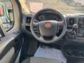 Fiat Ducato Maxi Pritsche Doppelk. 35 150 L5 P Weiß - thumbnail 10